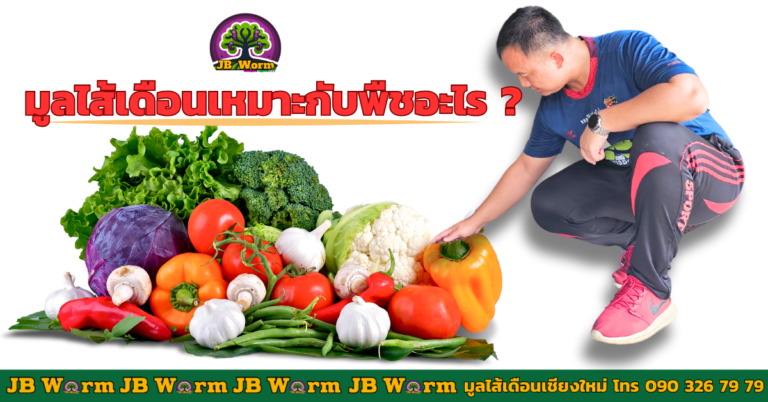 มูลไส้เดือนเหมาะกับพืชอะไร ?