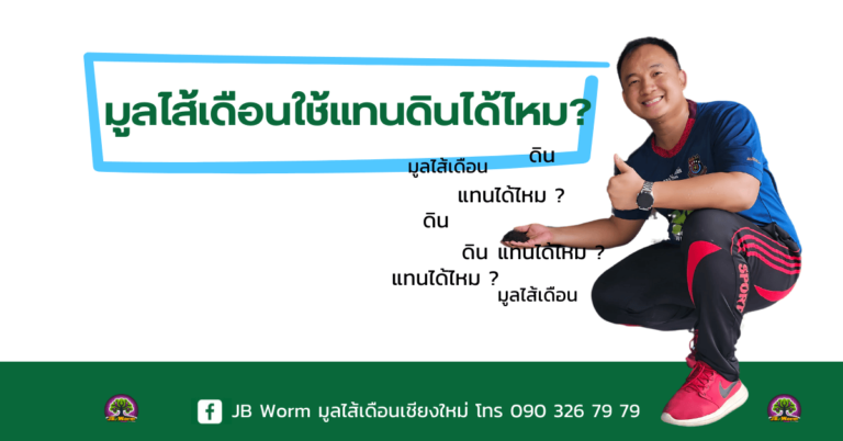 มูลไส้เดือน ใช้แทนดินได้ไหม?