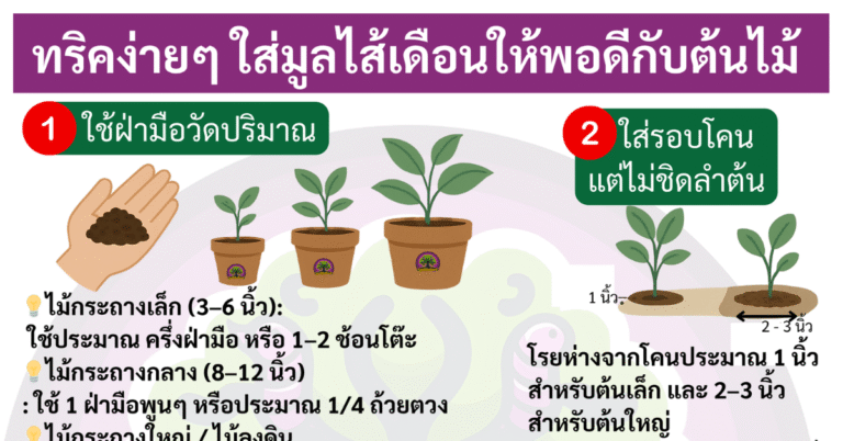 ทริคง่ายๆ ใส่มูลไส้เดือนให้พอดีกับต้นไม้